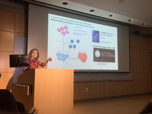 Professor Beth Pruitt