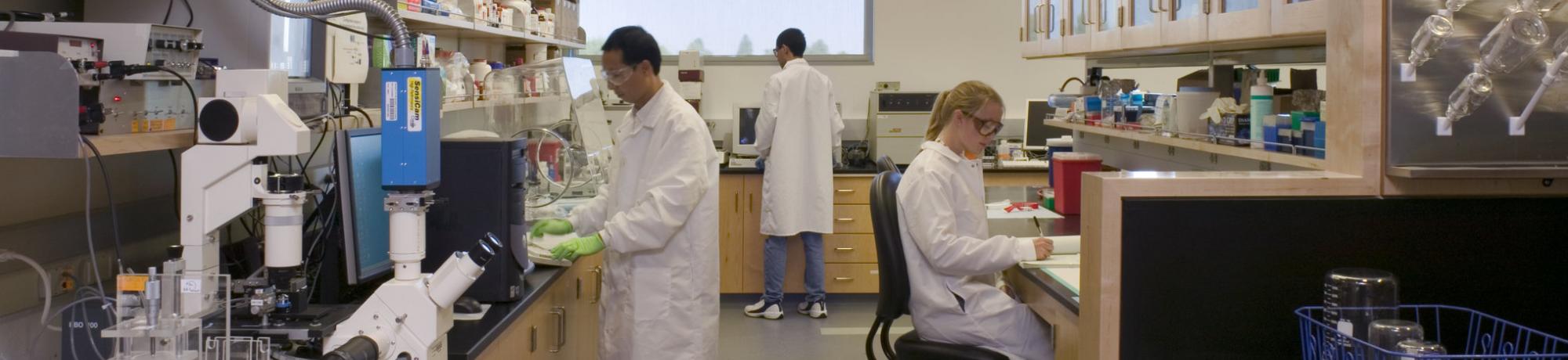 uc davis biomedical engineering about
